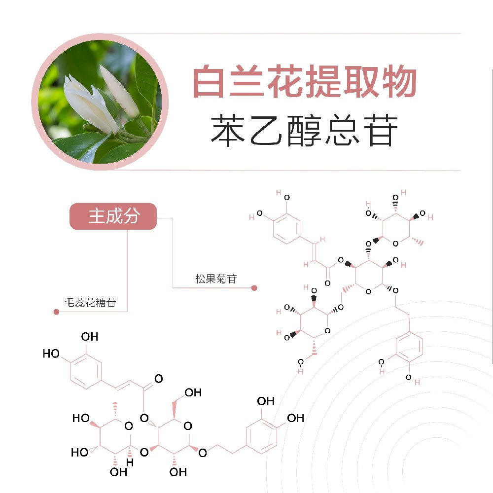 苯乙醇總苷